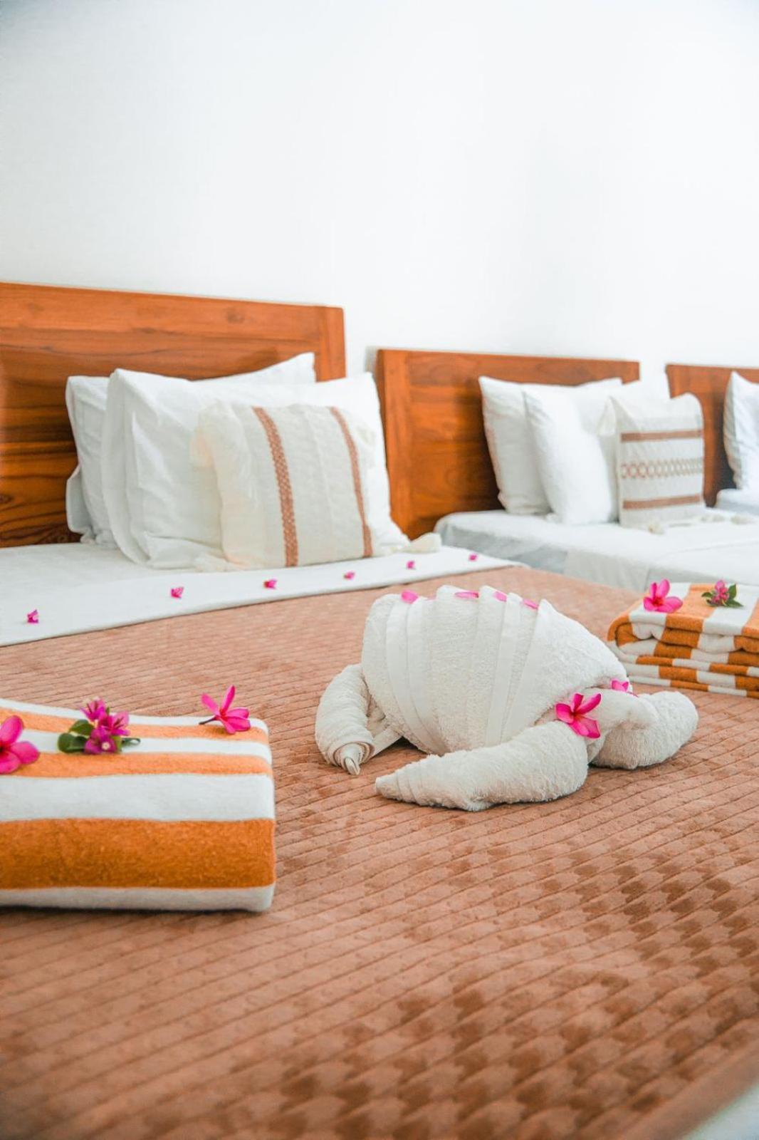 Hakuna Matata Resort กิลิไอร์ ภายนอก รูปภาพ